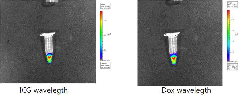 제조된 리포좀의 독소루비신 및 ICG 담지 후 형광영상