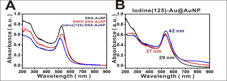 I-125 표지한 5, 10, 20 nm 크기의 골드나노입자의 UV스펙트럼