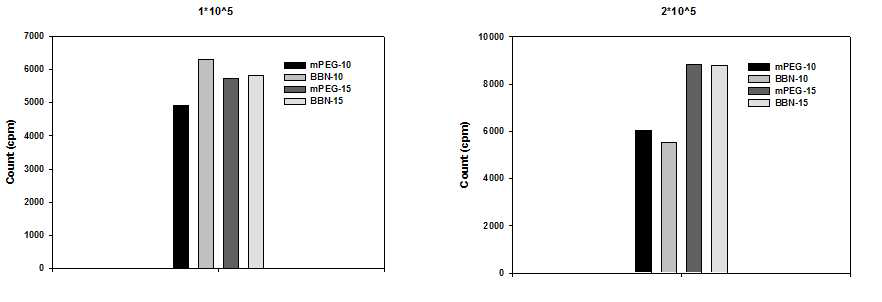 mPEG-SH(5000)과 NH2-PEG-SH(5000)을 경쟁반응시켜 결합 후 succinimidyl-BBN 를 결합한 20 nm 골드 입자 동물영상