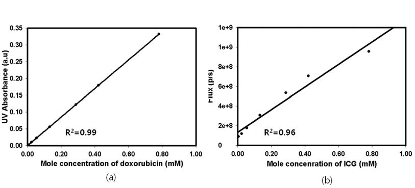 리포좀에 담지된 독소루비신의 농도와 UV absorbance, ICG dye와 fluorescence intensity의 관계