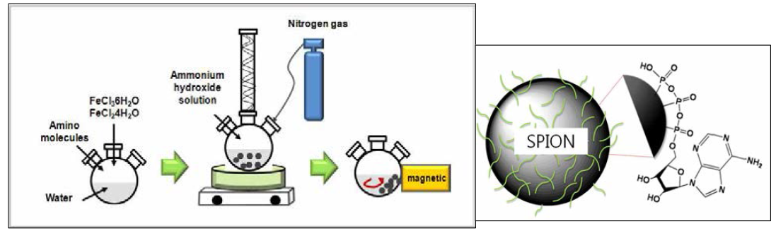 산화철 나노입자 제조 모식도
