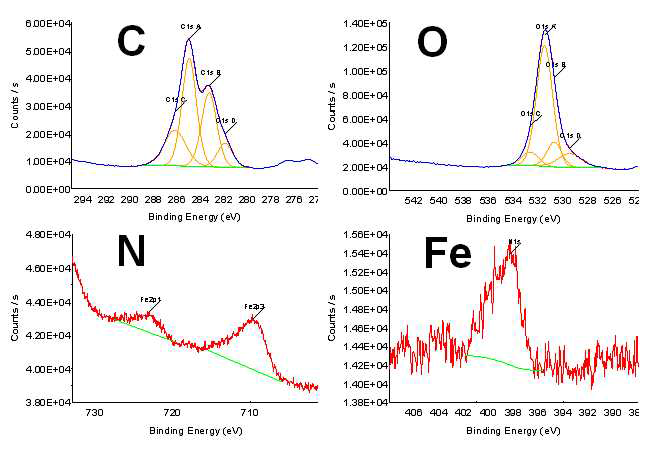 XPS 분석을 통해 Fe와 표면에 amino molecules에 의한 N, C, O가 존재 확인