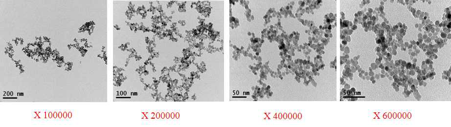 제조한 산화철 나노입자의 Bio-TEM