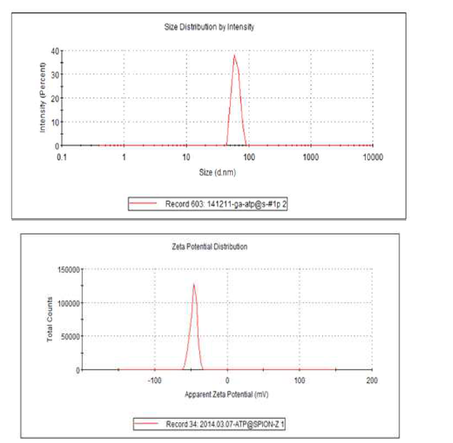 제조한 산화철 나노입자의 DLS analysis