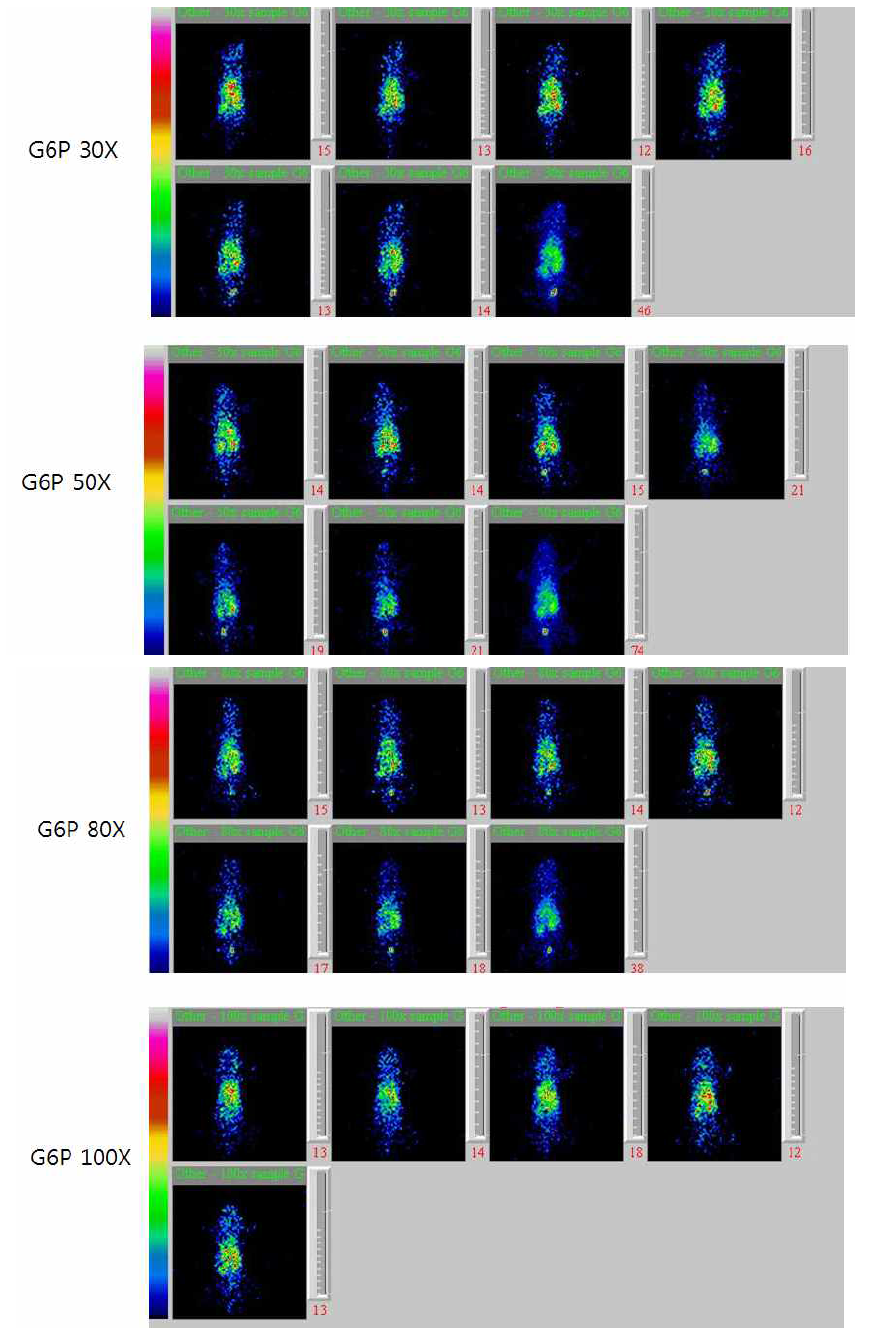 Glucose-6-phosphate의농도에 따른 골드입자의 Tc-99m 분포영상