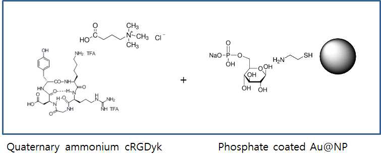 Glucose-6-phosphate가 코팅된 골드입자 표면에 RGD conjugation scheme