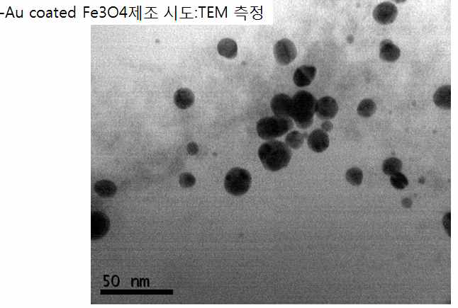 SPIO가 로딩된 골드입자의 TEM 분석