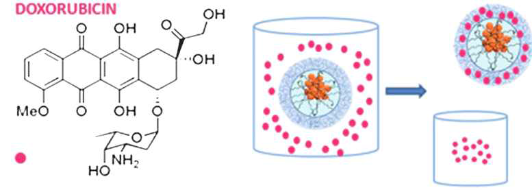 독소루비신을 골드입자에 이온결합으로 로딩한후 분리정제 모식도