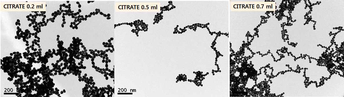 AgNO3에 다양한 농도의 citric acid를 반응시킨 후 TEM영상