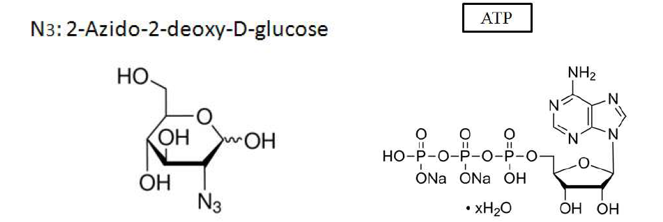 SPION합성에 사용되는 2-Azido-2-deoxy-D-glucose와 ATP의 화학구조