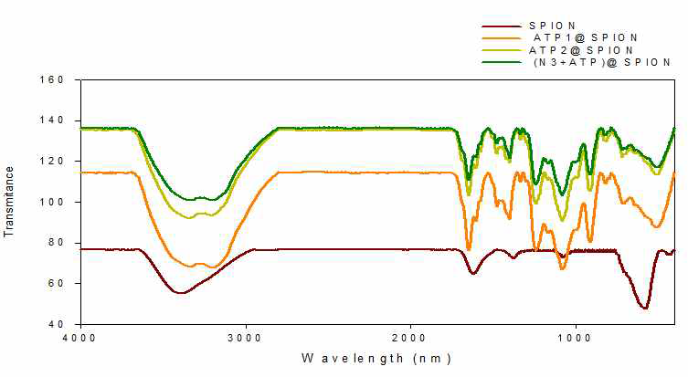 ATP-SPION/2-Azido-2-deoxy-D-glucose와 ATP가 반응된 SPION의 FT-IR 분석 결과