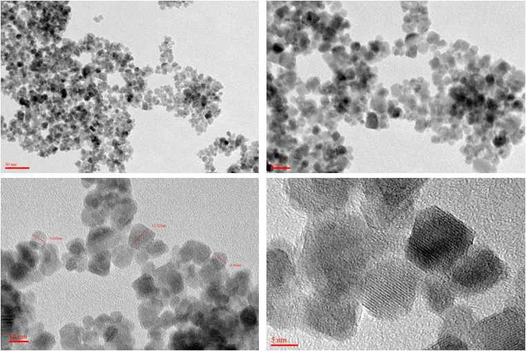 2-Azido-2-deoxy-D-glucose와 ATP가 반응된 SPION의 TEM 사진