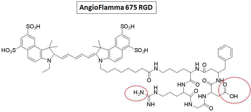 AngioFlamma 675 RGD 구조