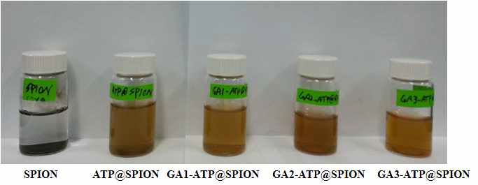 iron nanoparticle을 증류수에 suspension 시킨 후 응집현상관찰