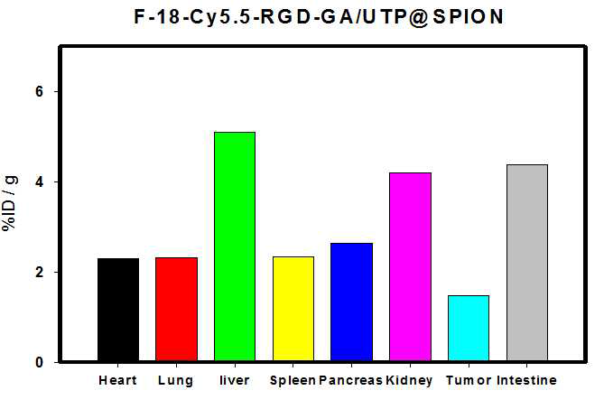 F-18 RGD-SPDP-SPION을 주사후 장기적출후 Biodistribution