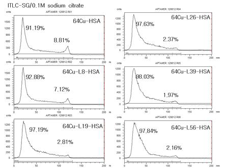 DOTA-Ln-HSA의 Cu-64 표지효율 확인