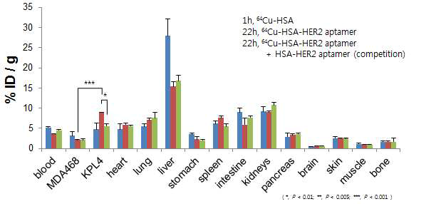 HER2 앱타머-알부민의 생체조직 분포 평가