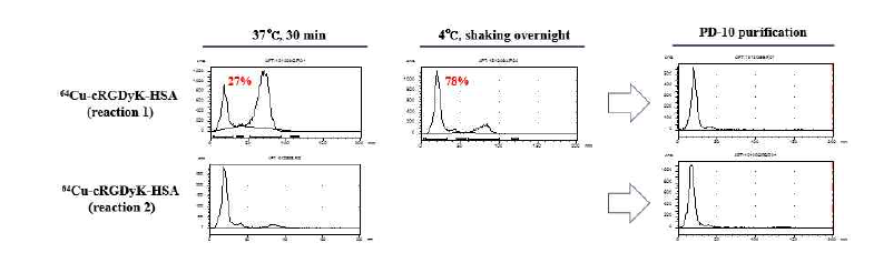 cRGDyK-알부민의 Cu-64 표지 효율 확인