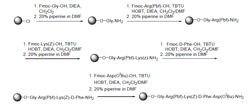 Solid supporting coupling protocol을 이용한 펩타이드 합성