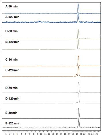 종양마우스 모델에서 Tc-99m-SNUBH-NM-505의 체내 안정성 HPLC 결과