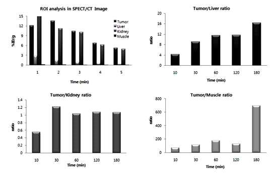 SPECT/CT 영상에서 SNUBH-NM-505 화합물의 체내 섭취율 평가