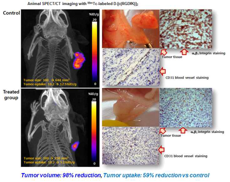 SPECT 영상을 이용한 Re-188 표지 cRGD (SNUBH-NM-605)의 종양 성장 억제 및 치료 효과