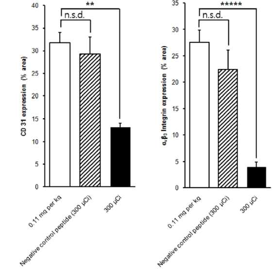 종양모델에 vehicle군과 negative control peptide, Re-188-SNUBH-NM-605 군간의 신생혈관 및 인테그린 활성 평가