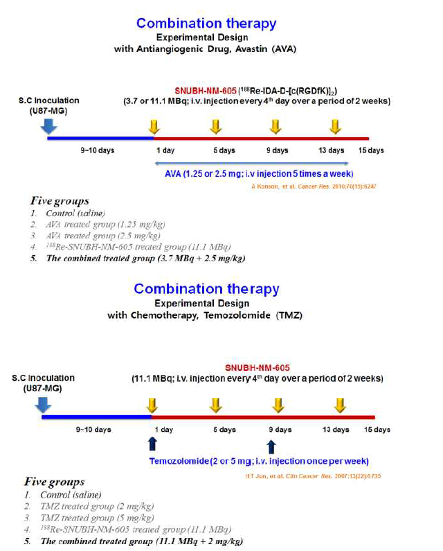 Combination 항암효과 평가(chemotherapy + radiotherapy)에 대한 실험방법 및 사 용한 Dose