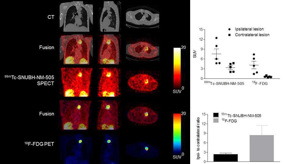 F-18-FDG과 Tc-99m-SNUBH-NM-505 영상 비교 분석