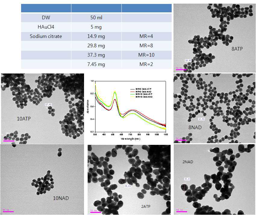 Sodium citrate양 조절하여 골드 크기 조절