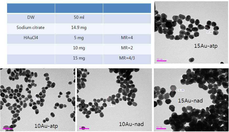 HAuCl4양 조절하여 골드 크기를 조절