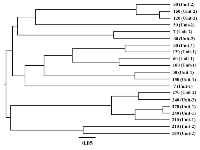 시험 가축 매몰지 unit-1 과 unit-2에 대한 phylogenetic tree.