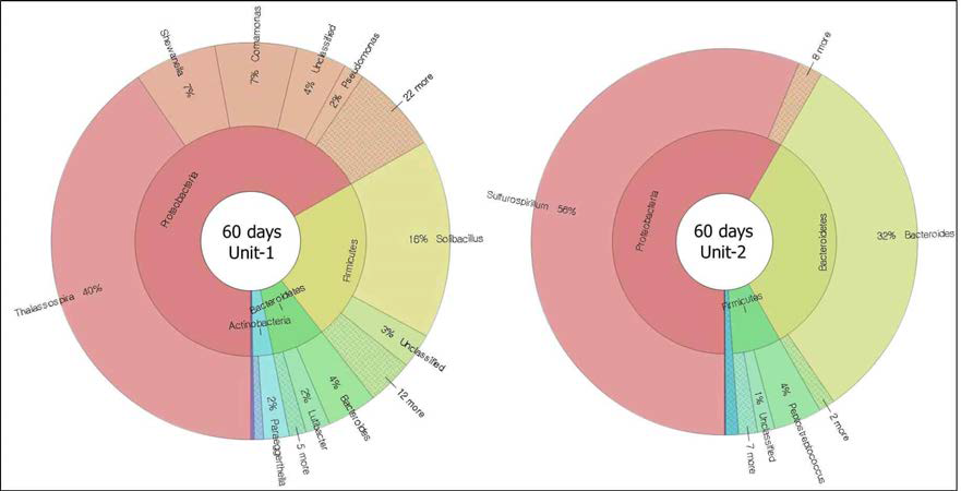 시험 가축 매몰 60일 후 unit-1(좌)과 unit-2(우)에 대한 16S rRNA bacterial taxa.