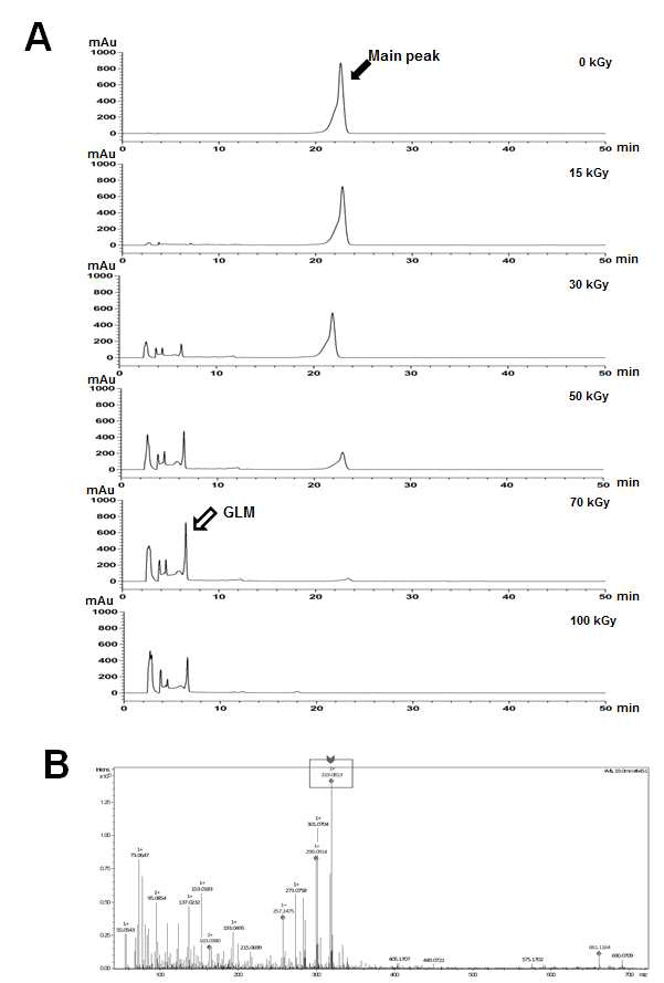 Chromatogram of GLM from Luteolin irradiated in methanol using Isocratic HPLC mode (A), The mass spectrum of GLM (B).