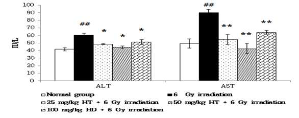 헤스페레틴과 헤스페리딘을 7일 동안 투여 한 후 6 Gy 조사 한 동물의 간독성 지 표(AST와 ALT) 변화