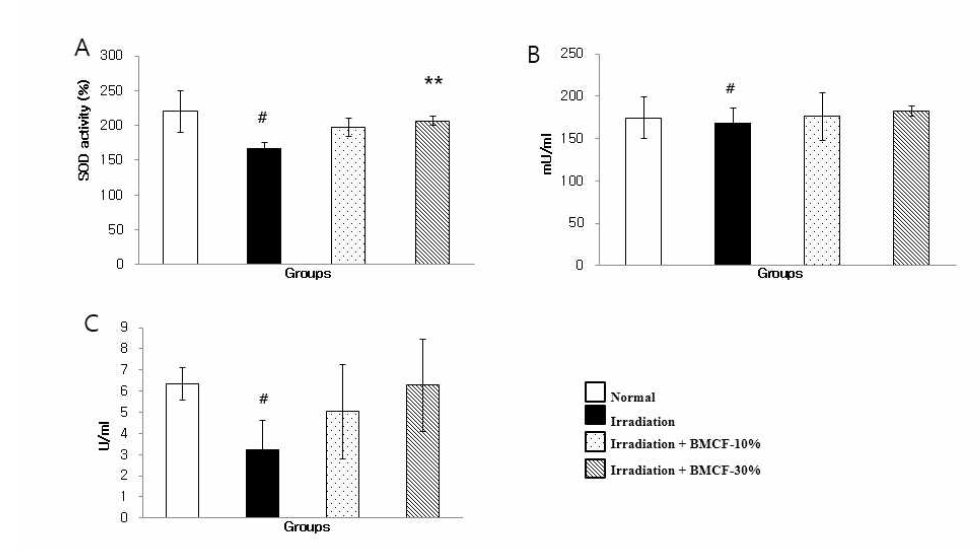 3 Gy 조사 한 후 BMCF를 7일 동안 착용한 동물의 SOD (A), catalase (B) 및 GPx (C) 성분 변화