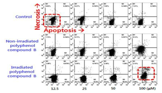 FACS analysis of AGS cells-treated with gamma-irradiated polyphenol compound B
