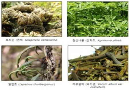 Traditional chinese medicinal herbs used for the extraction of bioactive compounds