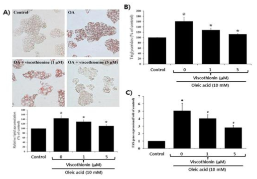 Inhibition of Mistletoe Viscothionin on oleic acid-induced lipid accumulation of human liver carcinoma HepG2 cells.