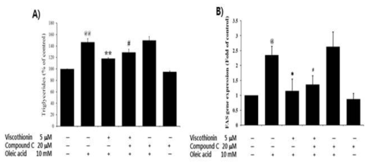 Effect of AMPK activation due to Mistletoe Viscothionin on lipid accumulation in HepG2 cells incubated with OA.