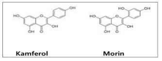 Molecular structures of Flavonols Kamferol and Morin