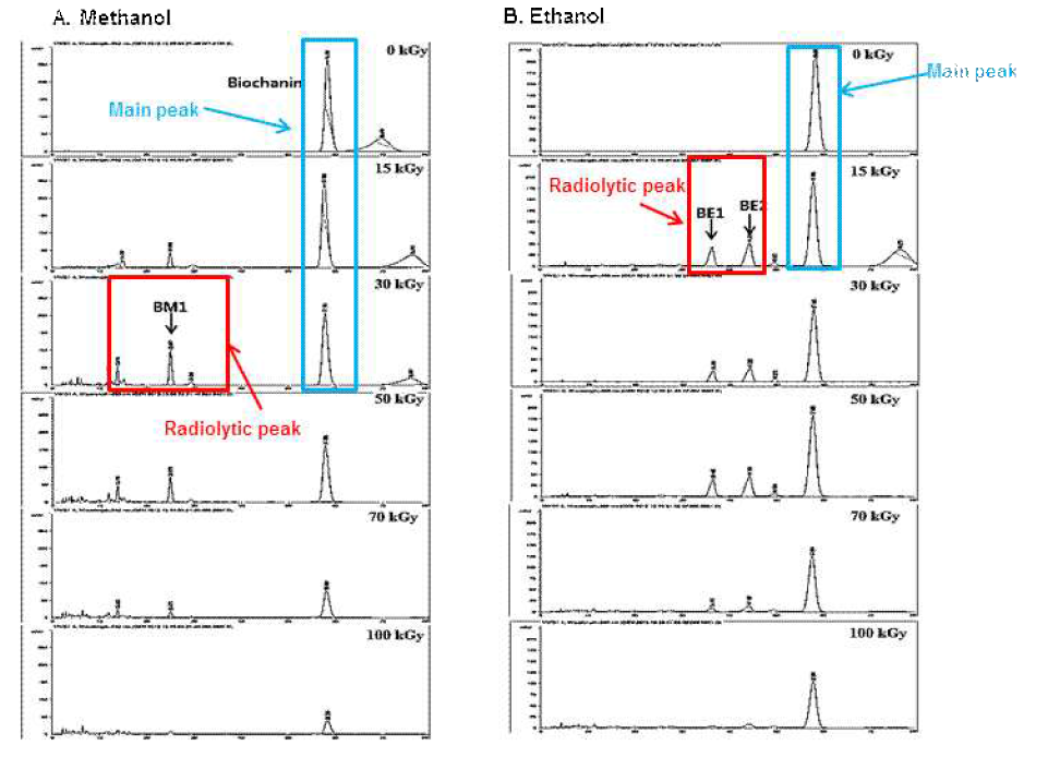 HPLC Chromatogram of irradiated Biochanin (1 mg/mL) solubilized in ethanol and methanol
