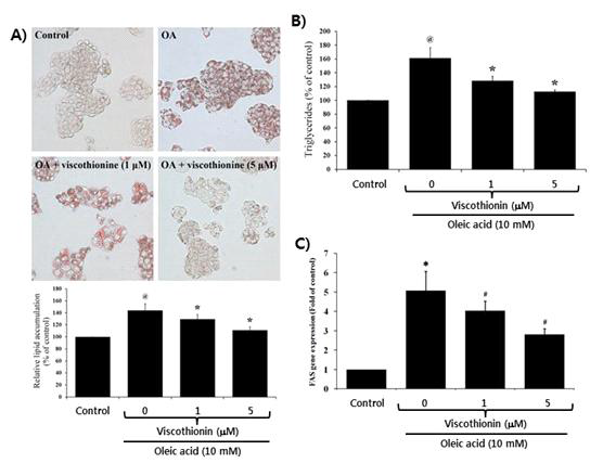 Inhibition of Mistletoe Viscothionin on oleic acid-induced lipid accumulation of human liver carcinoma HepG2 cells