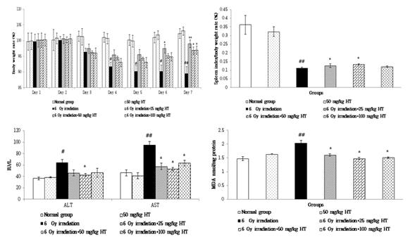 Effect post-treatment of hesperetin and hesperidin on the status of body weight, spleen index, AST and ALT in plasma and lipid peroxidation in the liver of control and experimental animals