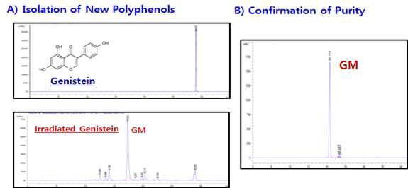Isolation of New Radiation-induced product from Genistein irradiated in methanol and confirmation of single isolated product using Preparative and analytical HPLC.