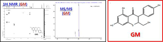 Structural analysis of isolated GM form Genistein irradiated in methanol using NMR and HPLC-MS/MS.