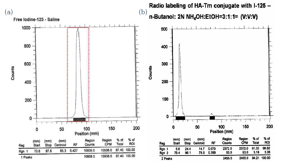 Hyaluronic acid (HA)-tyramine(Tm) conjugate의 I-125 표지 ITLC 분석, (a) free I-125, (b) I-125 표지 hyaluronic acid (HA)-tyramine(Tm) conjugate