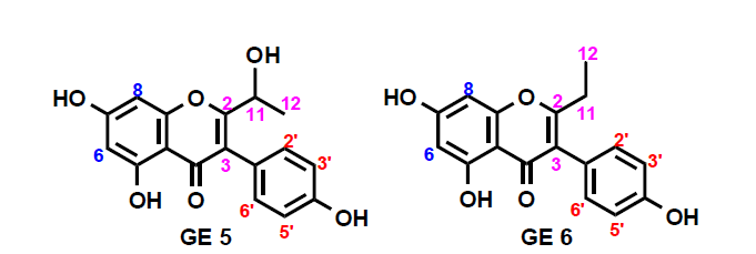 Suggested structure of GE 5~6