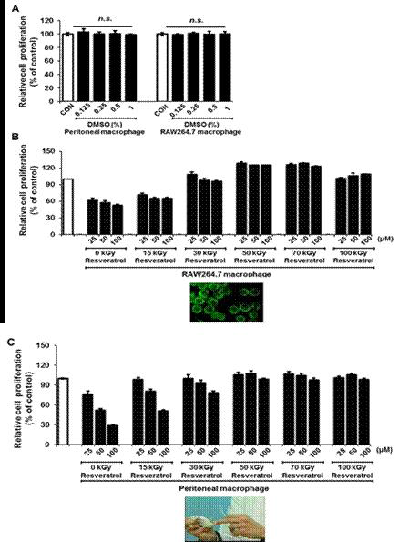 Proliferative effect of dimethyl sulfoxide (DMSO), intact-resveratrol, and gamma-irradiated resveratrol on LPS-induced RAW264.7 & peritoneal macrophage cells.