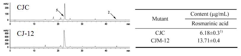 Comparison of rosmarinic acid contents between Chookyoupjaso (CJC) and Atom-Ros (12).